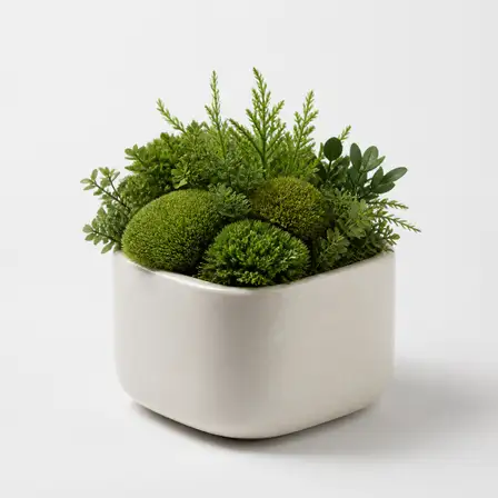 Fictional Desk Forest Planter in the NoBuyCart Home shelf